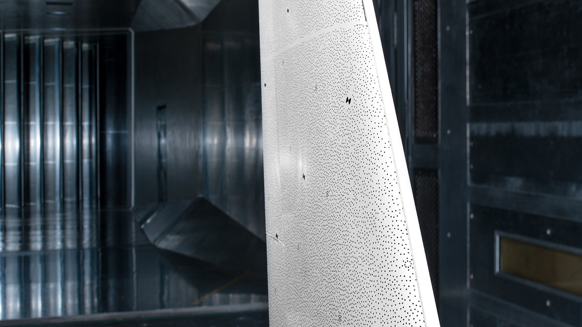 Close-up of the wing underside