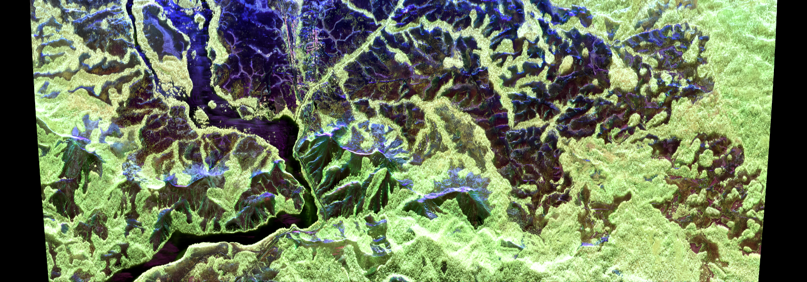 Lopé National Park, Gabon: airborne radar image in the P-band