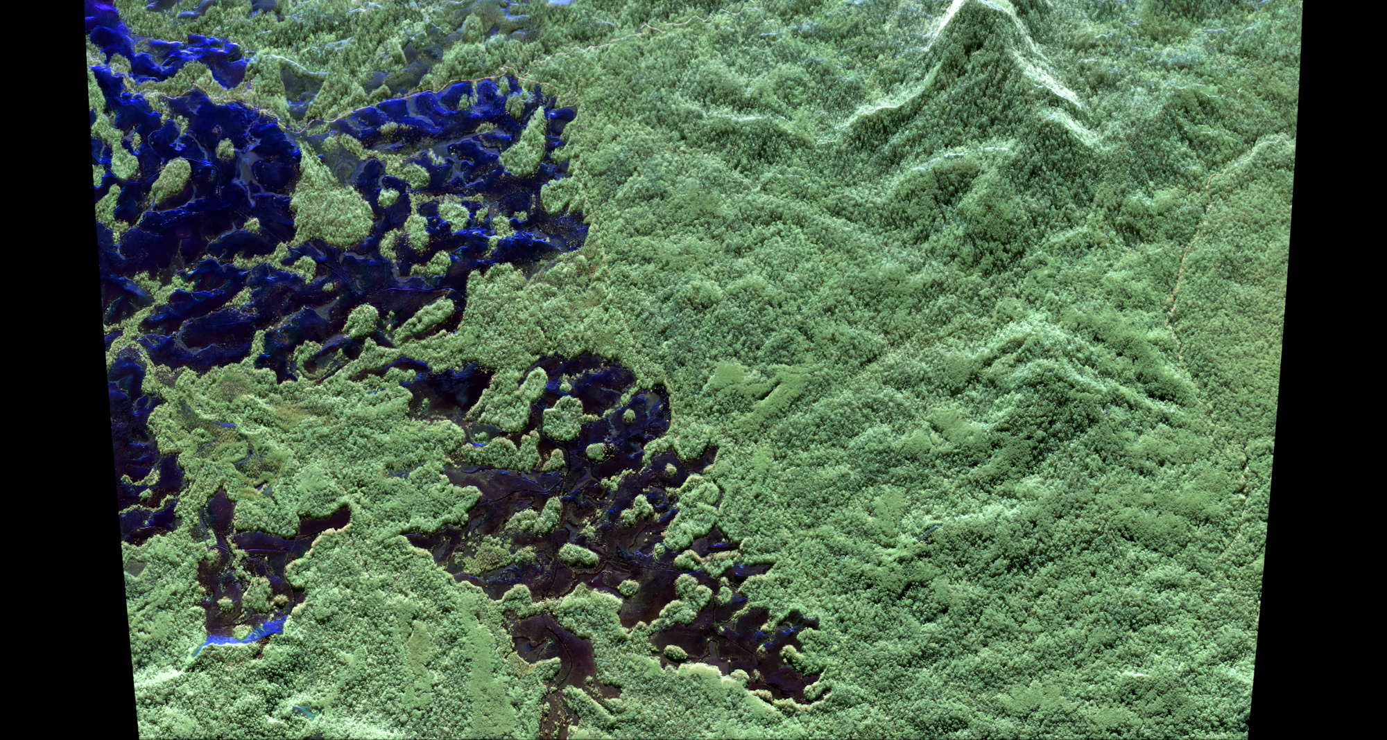 Polarimetric F-SAR radar image of part of Lopé National Park in central Gabon