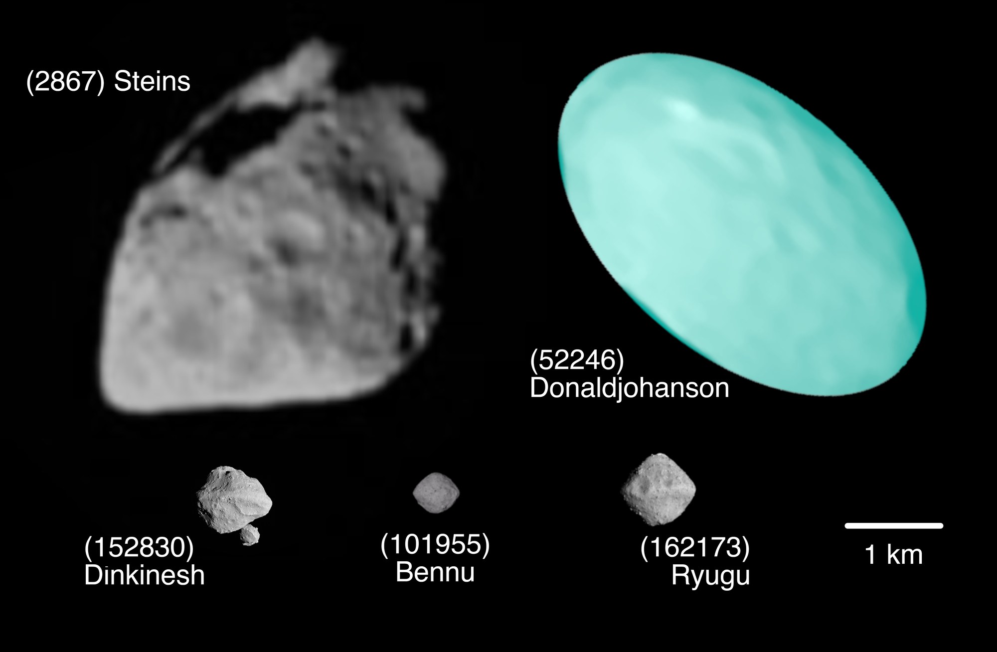 First estimate of the shape and size of asteroid (52246) Donaldjohanson