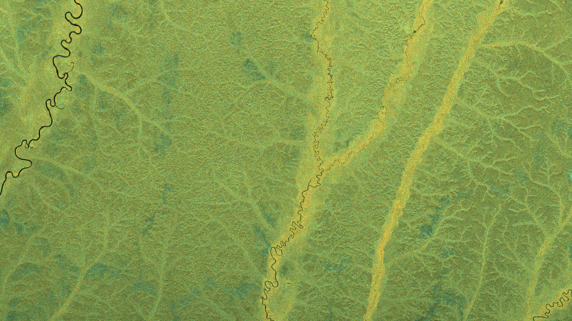 BIOMASS radar image – Tropical rainforest in the Congo Basin in Central Africa