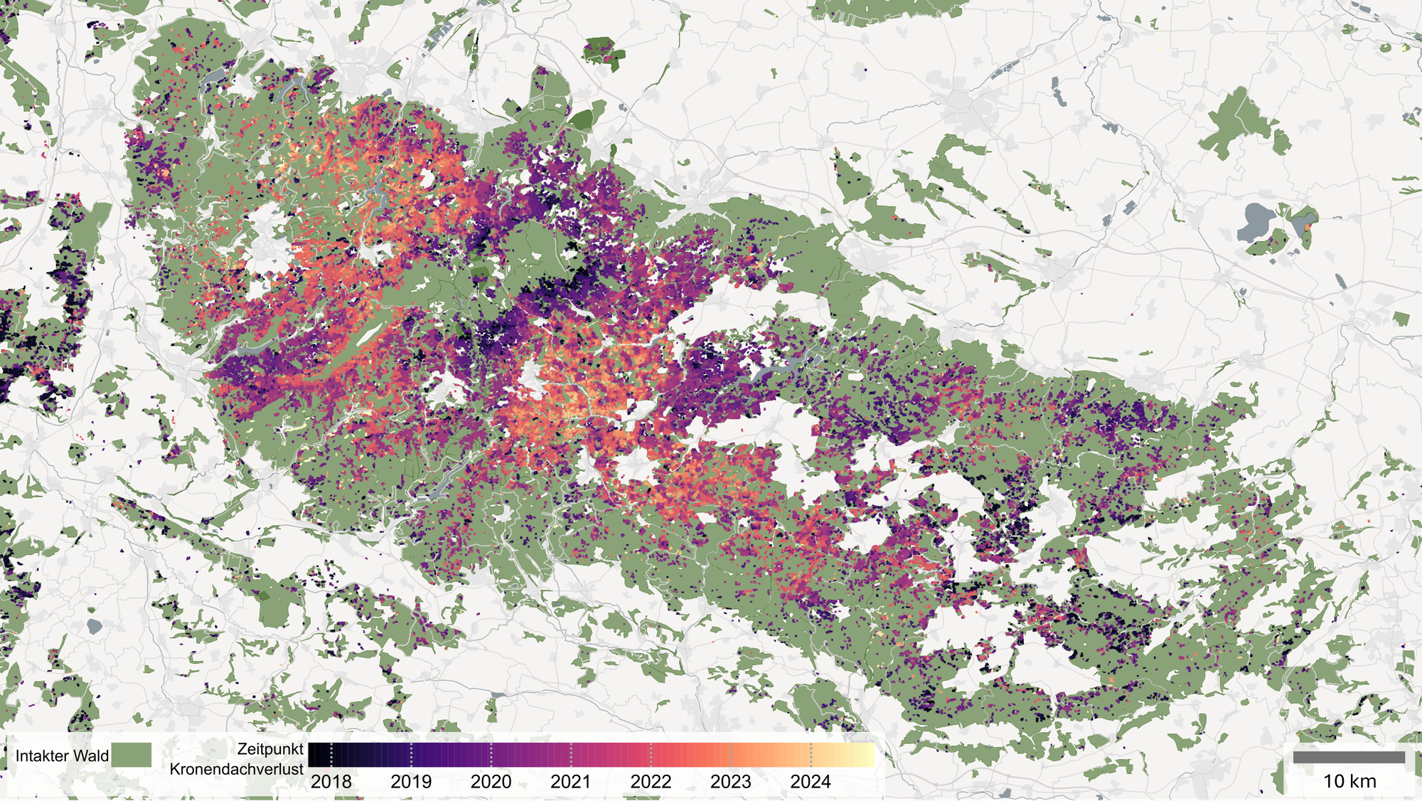 Canopy cover loss in the Harz mountains 2017–2024
