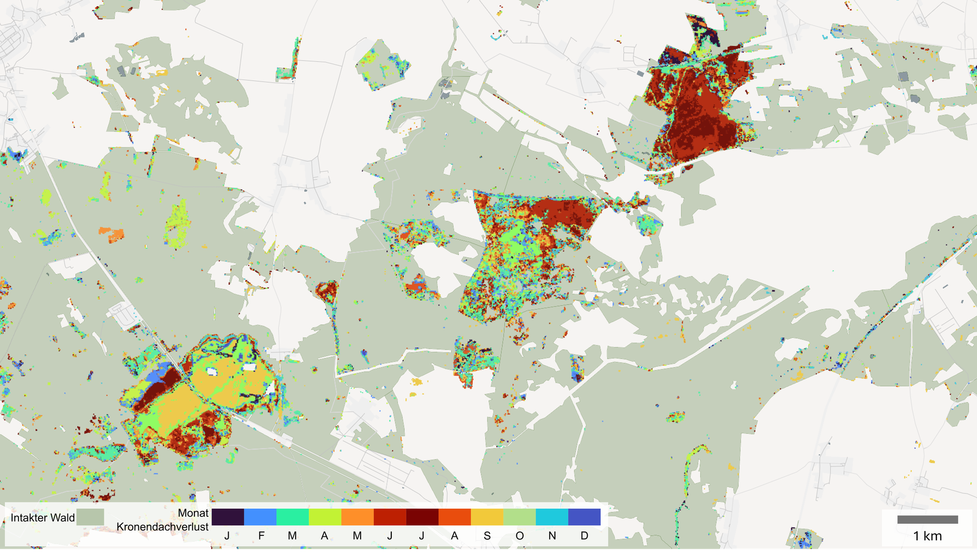Losses due to wildfires