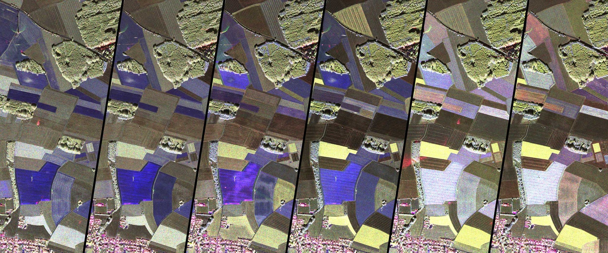 Vegetation development over several weeks