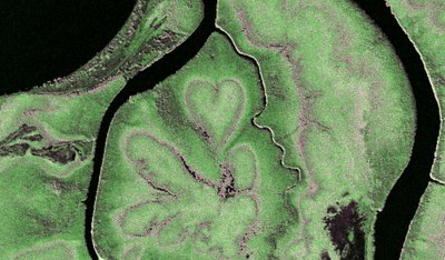 The 'Heart of Voh' in New Caledonia