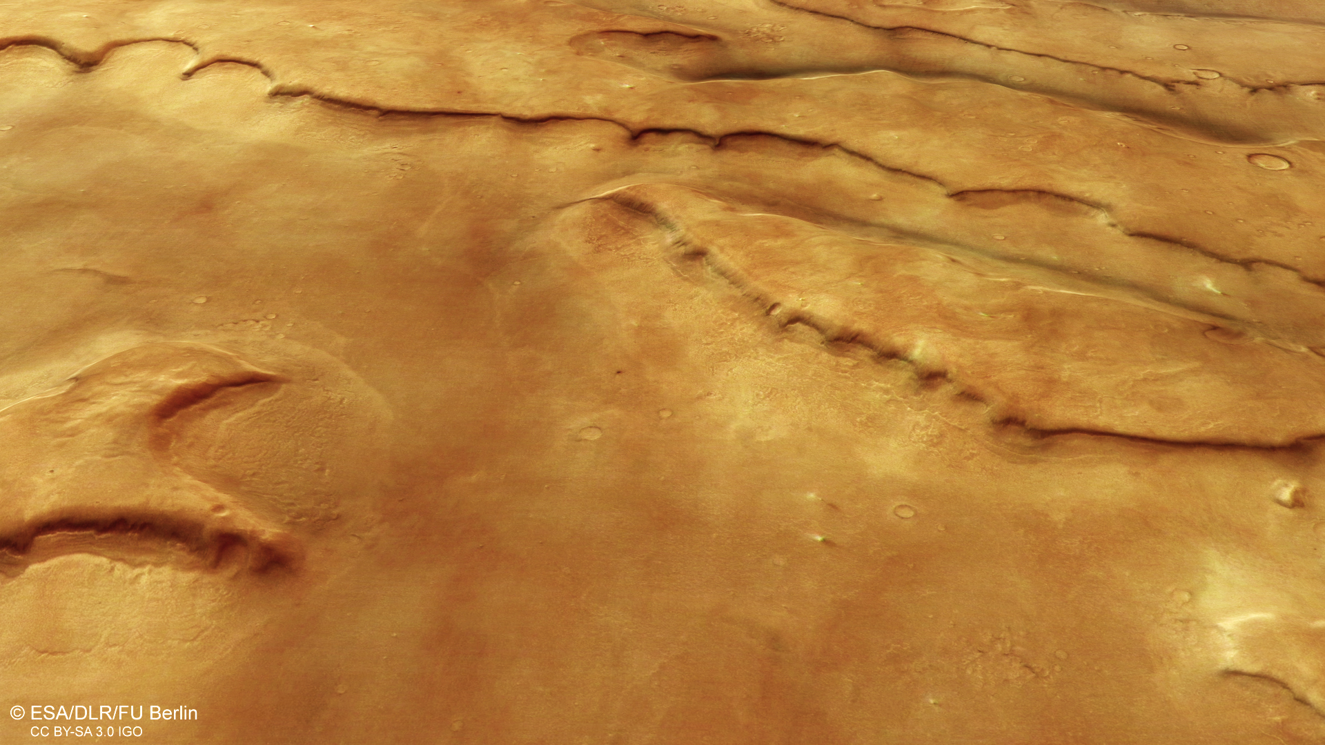 Dust devils and erosion on the valley floors of Mamers Valles on Mars