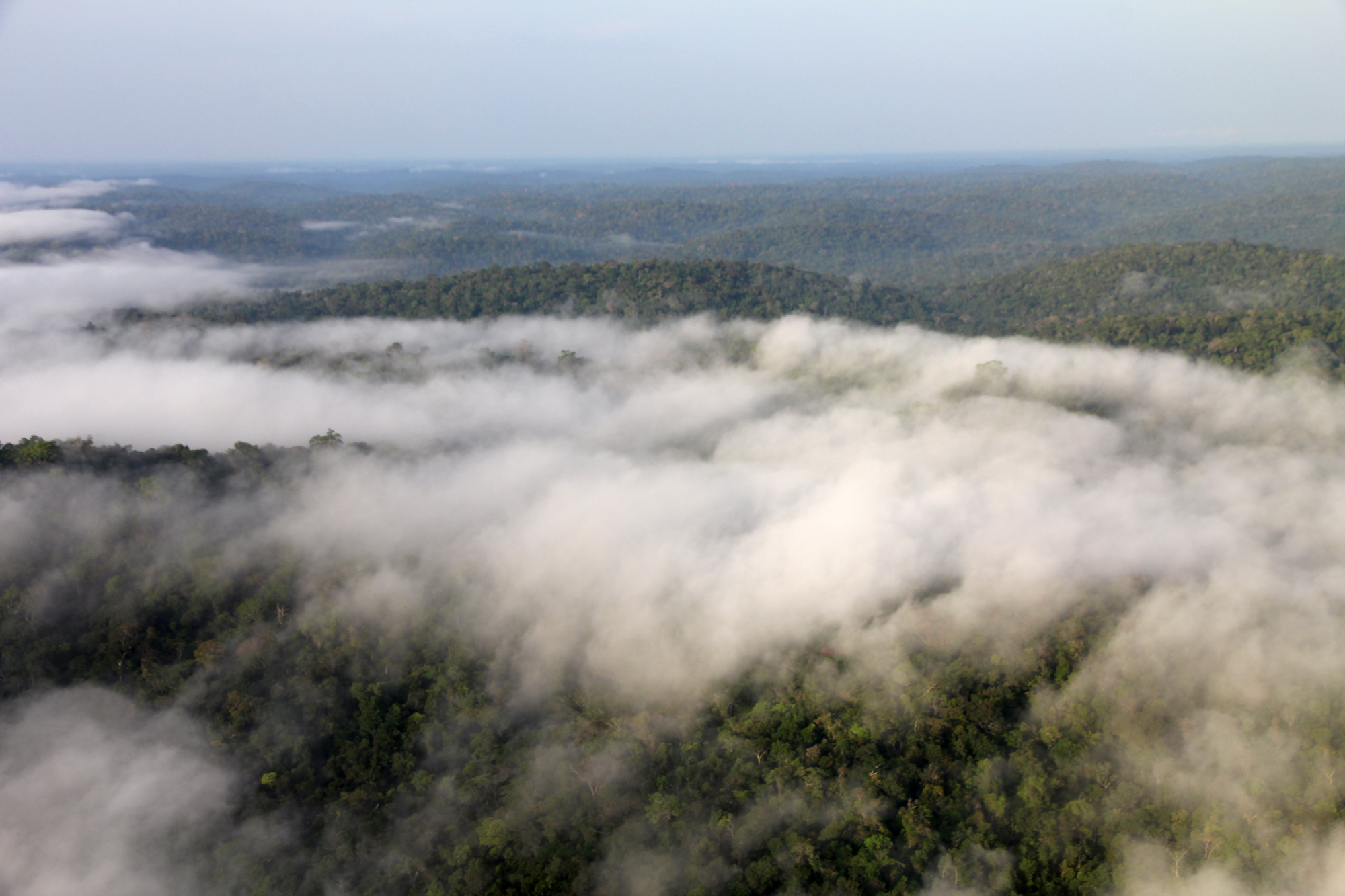View from the aircraft over the mist-shrouded Amazon rainforest