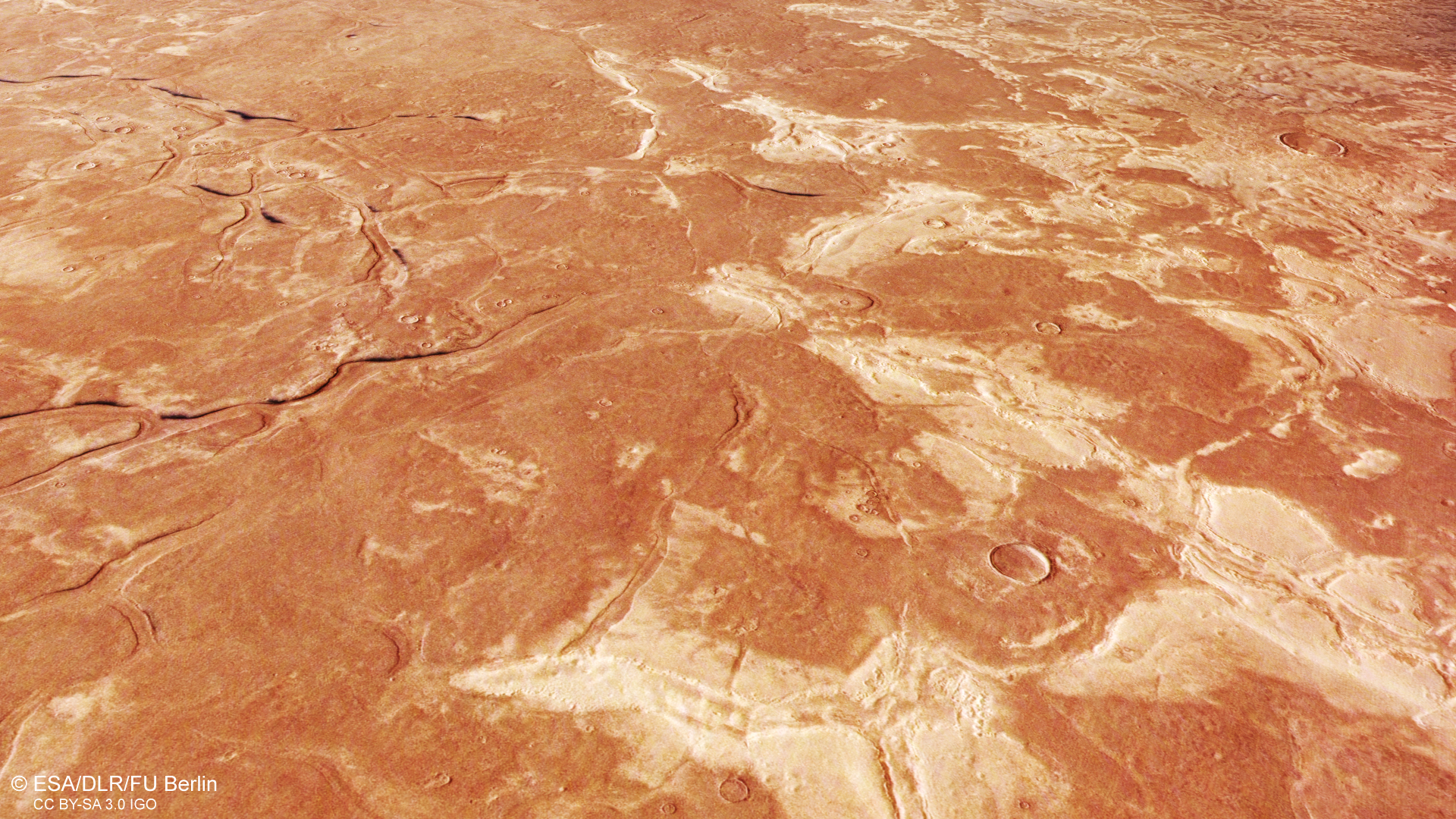 Branched graben structures: evidence of a former ocean?