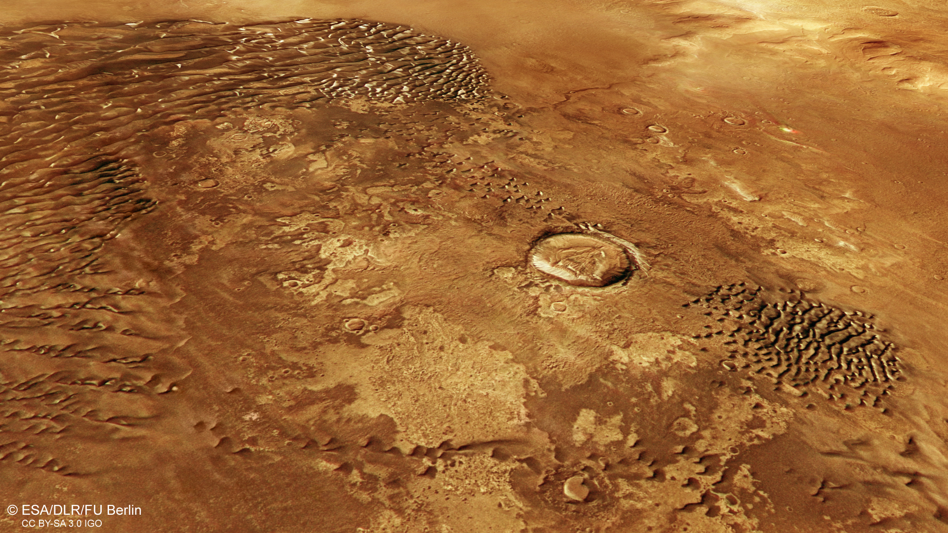 Clay minerals exposed by the wind between fields of crescent-shaped dunes on Mars