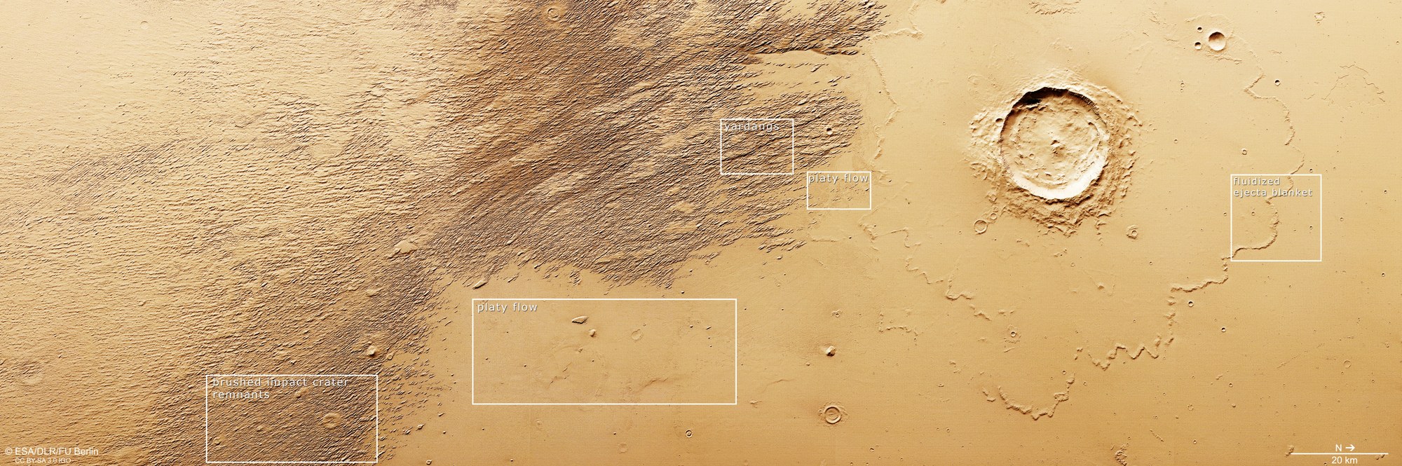 Distinctive landscape features in the Martian lowlands