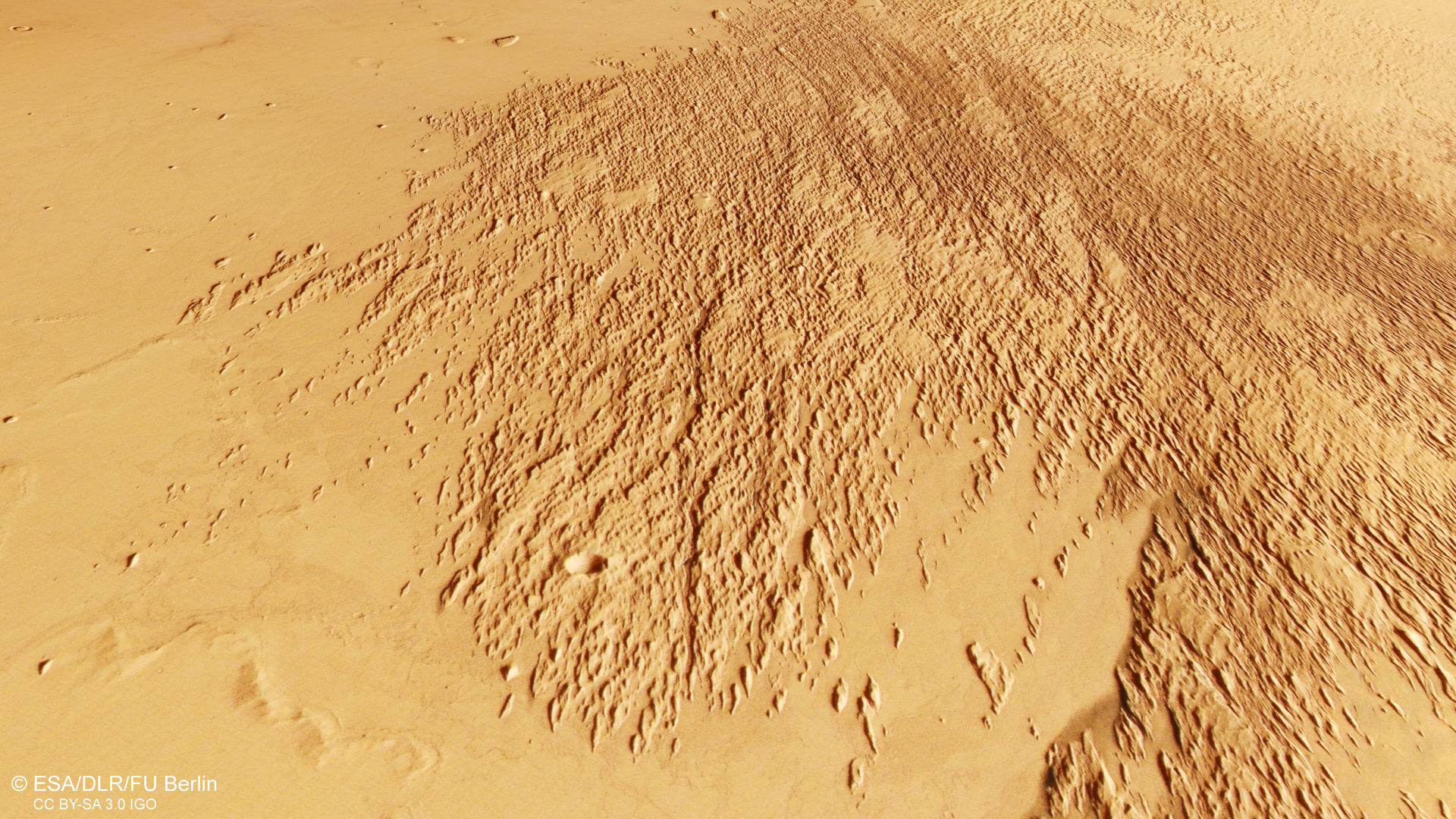 Perspective view of yardangs in the Martian lowlands