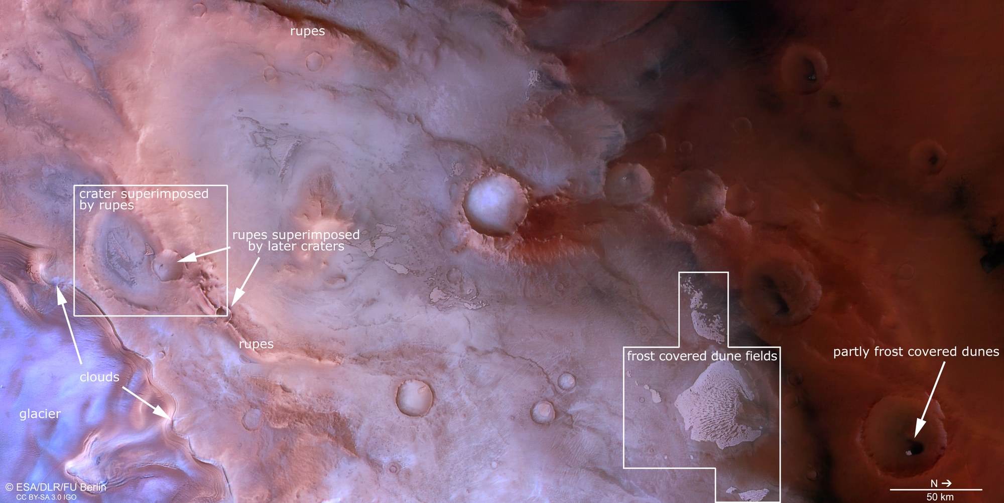 Characteristic features of Thyles Rupes on Mars