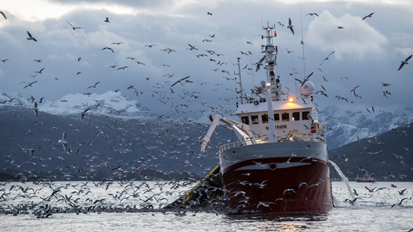 Oil and gas deposits, mineral resources as well as new fishing grounds are economic drivers for the use of the Arctic. ©wildestanimal / Getty Images