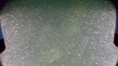 Visibility is reduced due to backscattering of particles in water (DLR / NSW-Project)