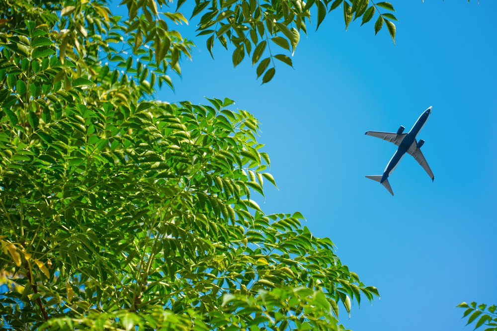 Unlocking the Potential of Life Cycle Assessment (LCA) in Aviation