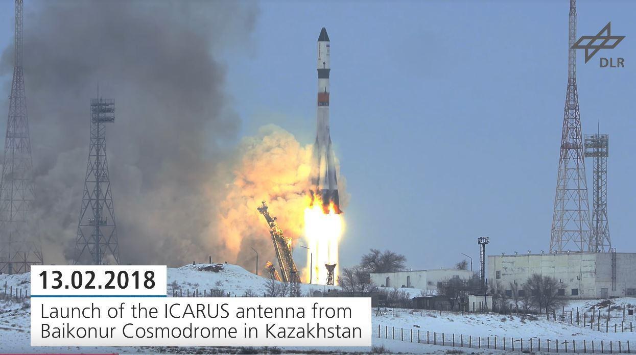 Freeze Frame - Trailer: Animal Observation from Space - ICARUS