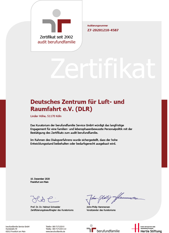 Preview image certificate 'audit berufundfamilie 2020'