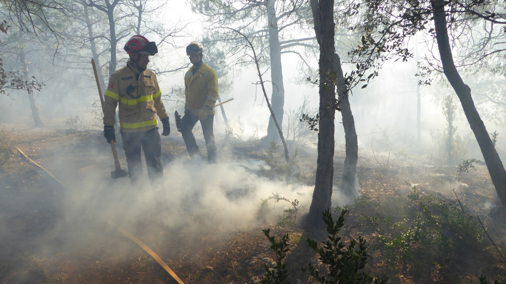 Wildfire under control