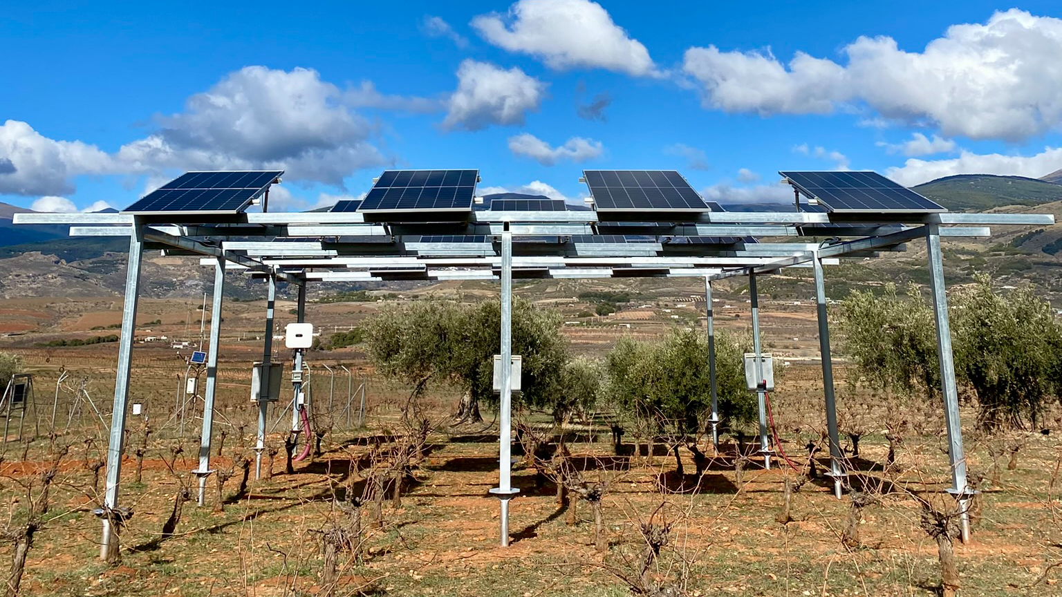 Agrivoltaic installation within ecological vineyard of Cortijo el Cura, Almería, Spain.