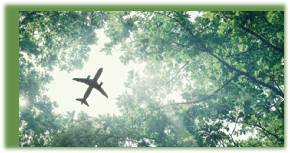 Airplane flying over trees