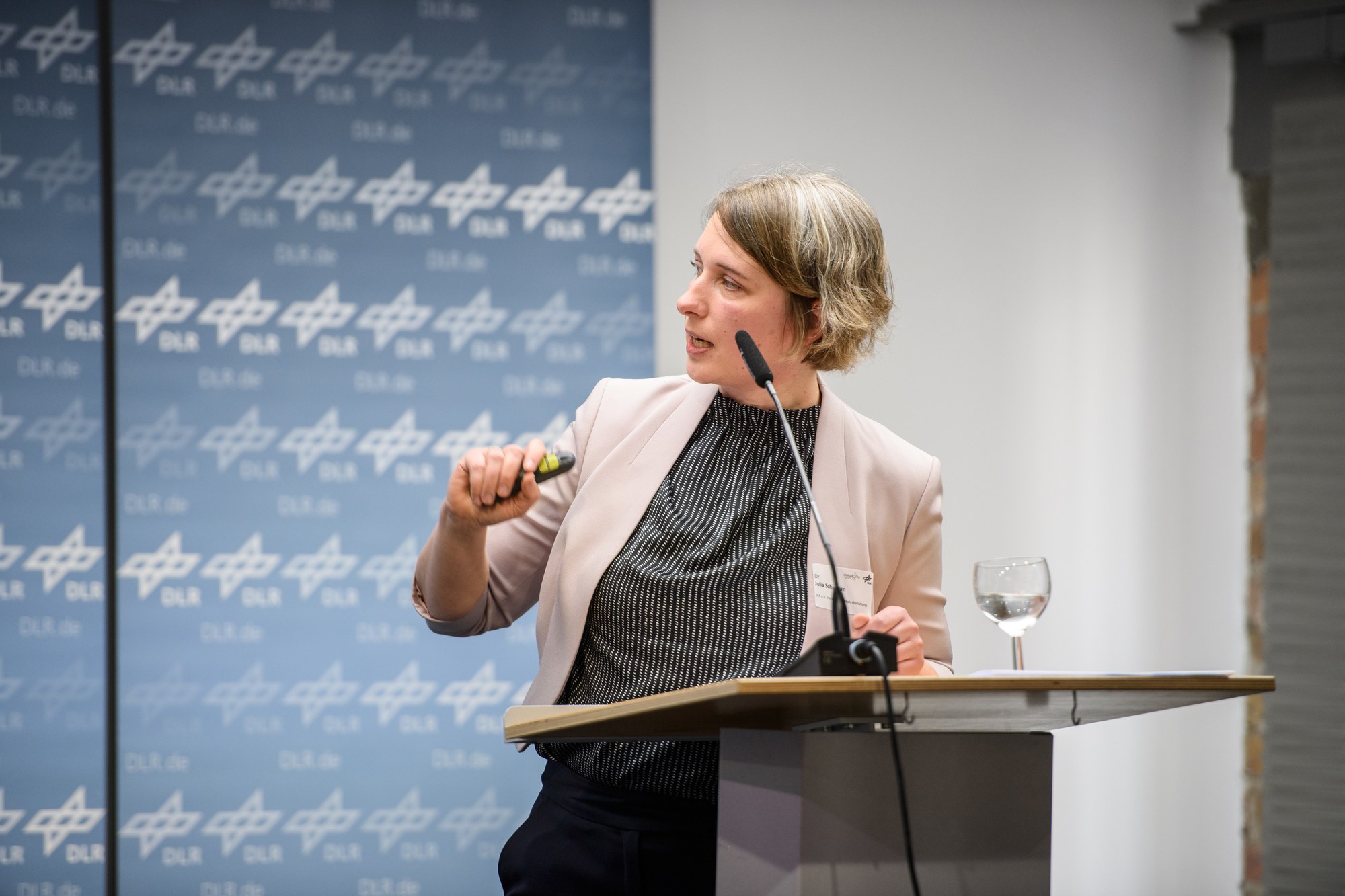 Dr Schuppan during a speech at a podium.