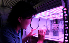 Vorbereitung für ein Pflanzen-Experiment, das in Schwerelosigkeit durchgeführt werden soll. Bild: NASA