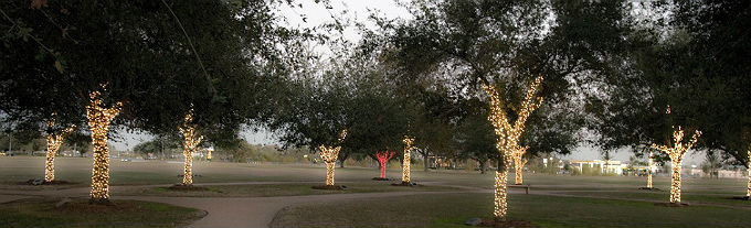 Diese Bäume erinnern an die verstorbenen Astronauten. Nur der Baum von Pete Conrad wird in rotes Licht getaucht. Bild: NASA
