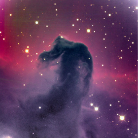 Die bekannteste Dunkelwolke - der Pferdekopfnebel. 
Bild: US Naval Observatory